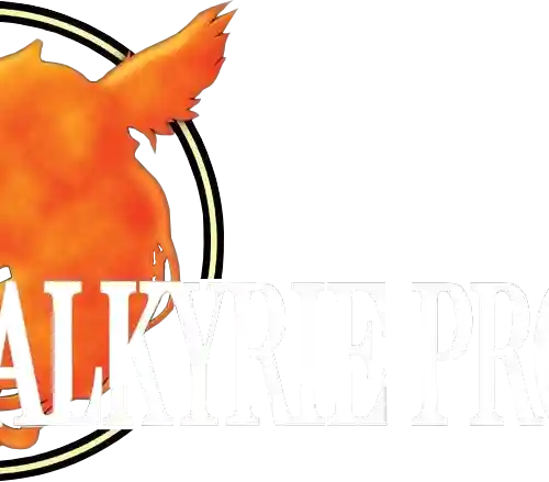 valkyrie-profile